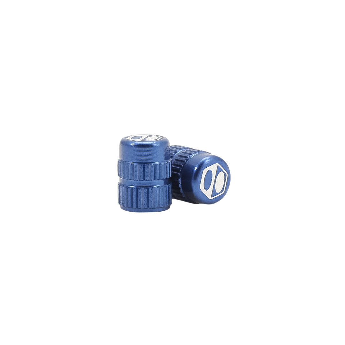 BOX ONE SCHRADER & PRESTA VALVE CAPS Ventilkappen